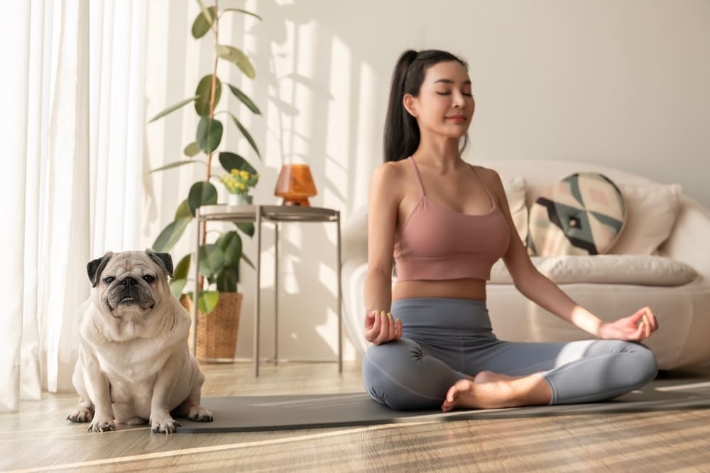 5. Hít Thở Sâu và Thiền Định 